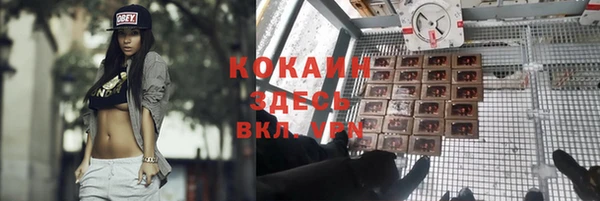 СК Верхний Тагил